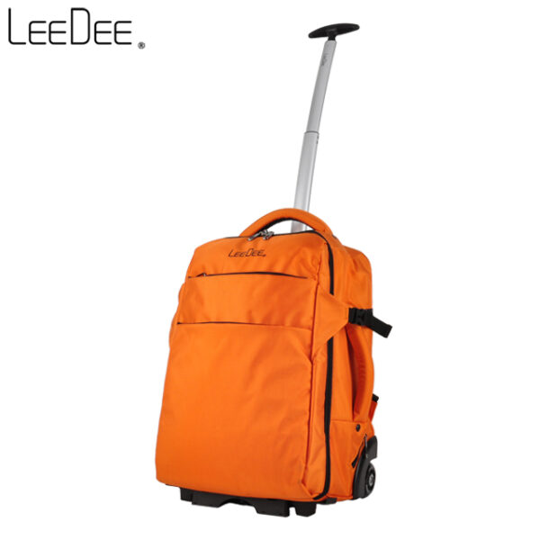 LE2009 Orange