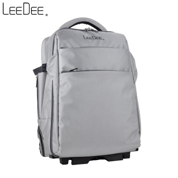 LE2009 Furnaced Silver