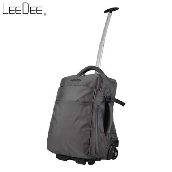LE2009 Classic Grey
