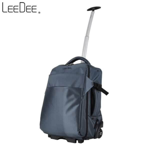 LE2009 Furnaced Silver 2