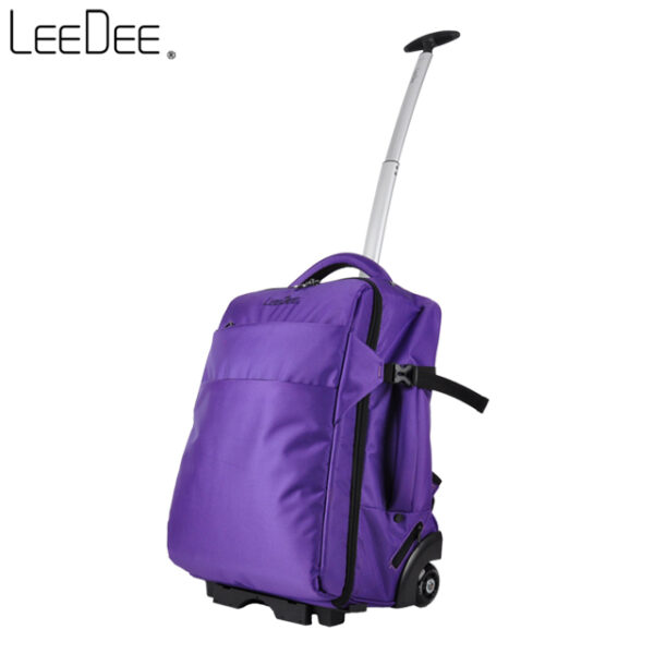LE2009 Grape Purple