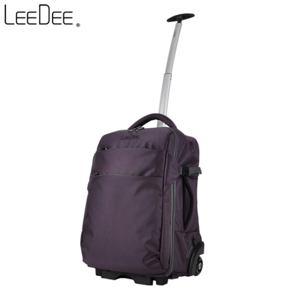 LE2009 Dark Purple