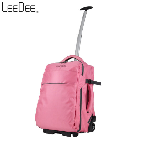 LE2009 Sakura Pink